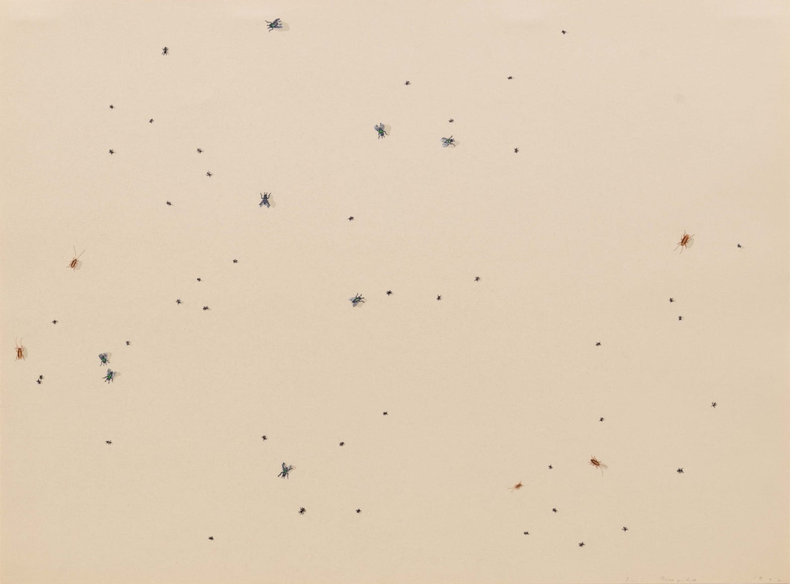 Insects by Edward Ruscha