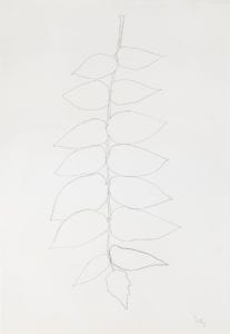 Ailanthus Leaves II by Ellsworth Kelly