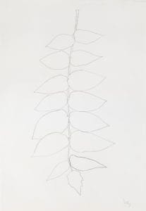 Ailanthus Leaves II by Ellsworth Kelly