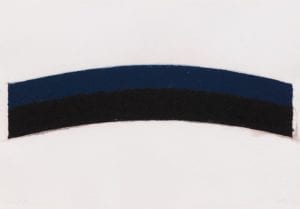 Ellsworth Kelly, Colored Paper Image III, 1976, Colored and pressed paper pulp