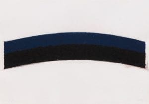 Colored Paper Image III, 1976, Colored and pressed paper pulp by Ellsworth Kelly