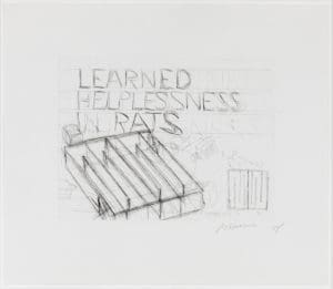 Learned Helplessness in Rats by Bruce Nauman