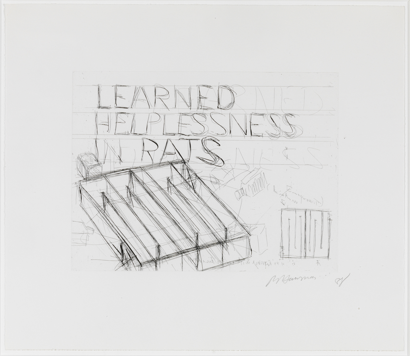 Learned Helplessness in Rats by Bruce Nauman