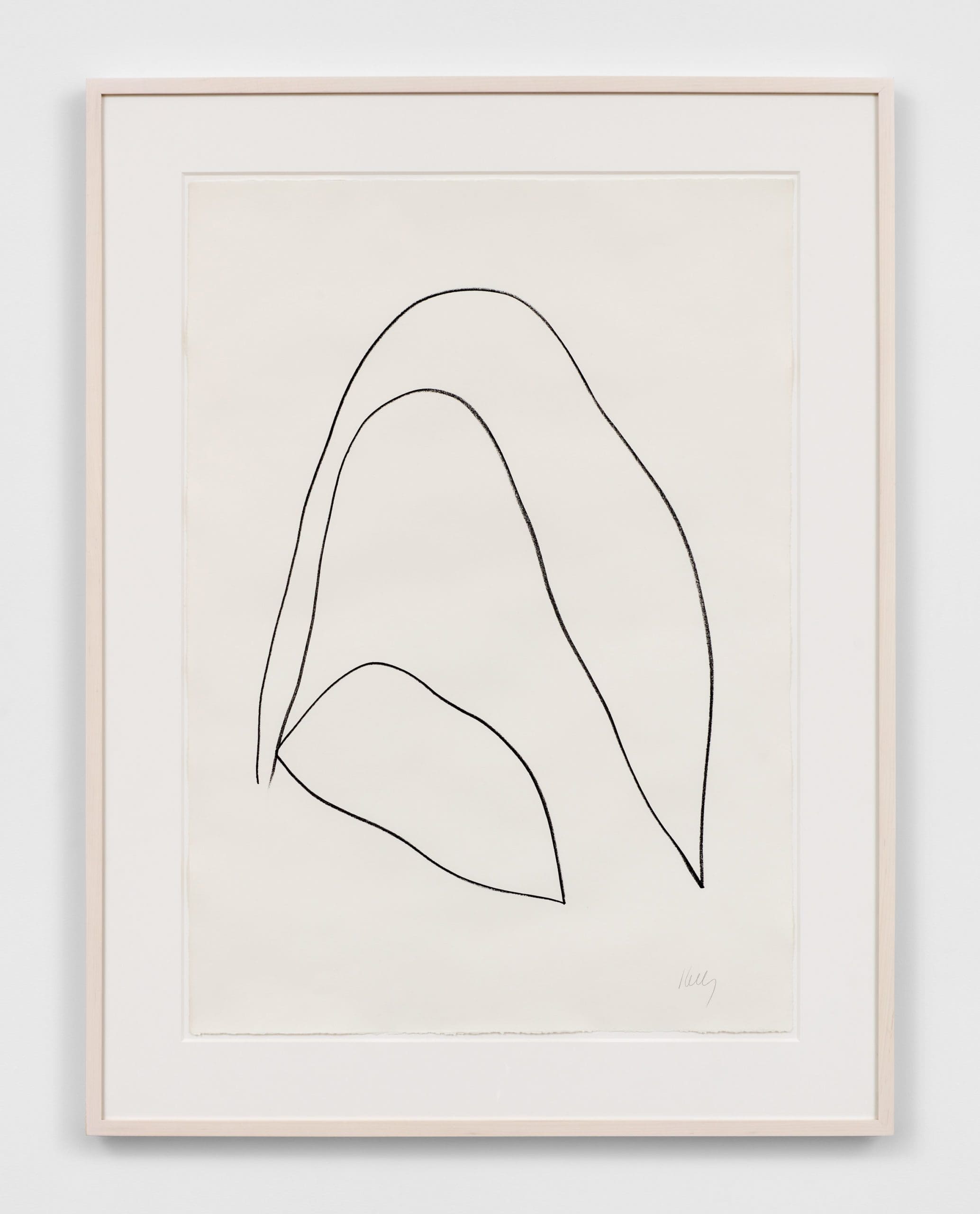 A picture of Leaves by Ellsworth Kelly