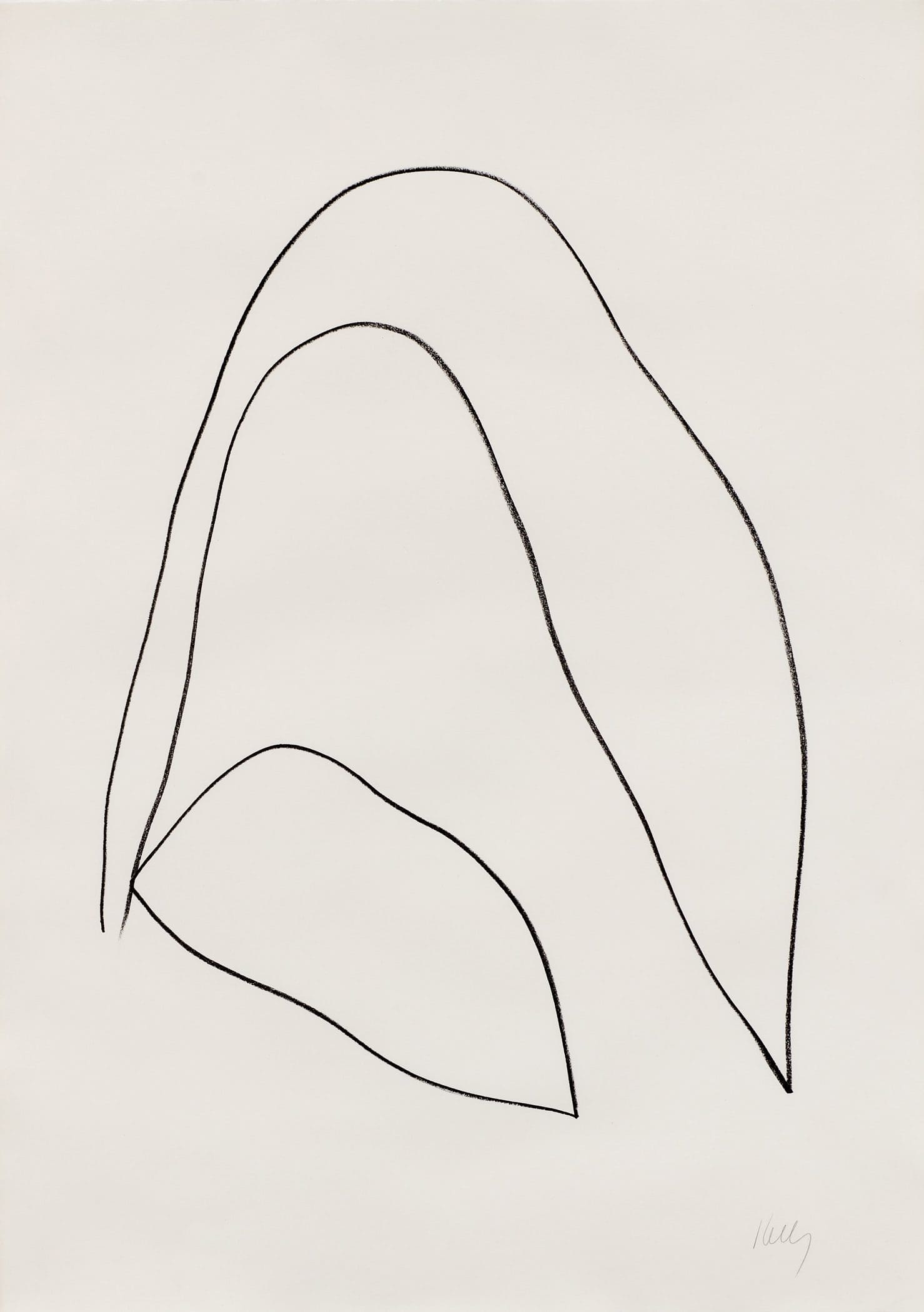 A picture of Leaves by Ellsworth Kelly