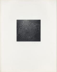 Untitled (Web I) by Vija Celmins