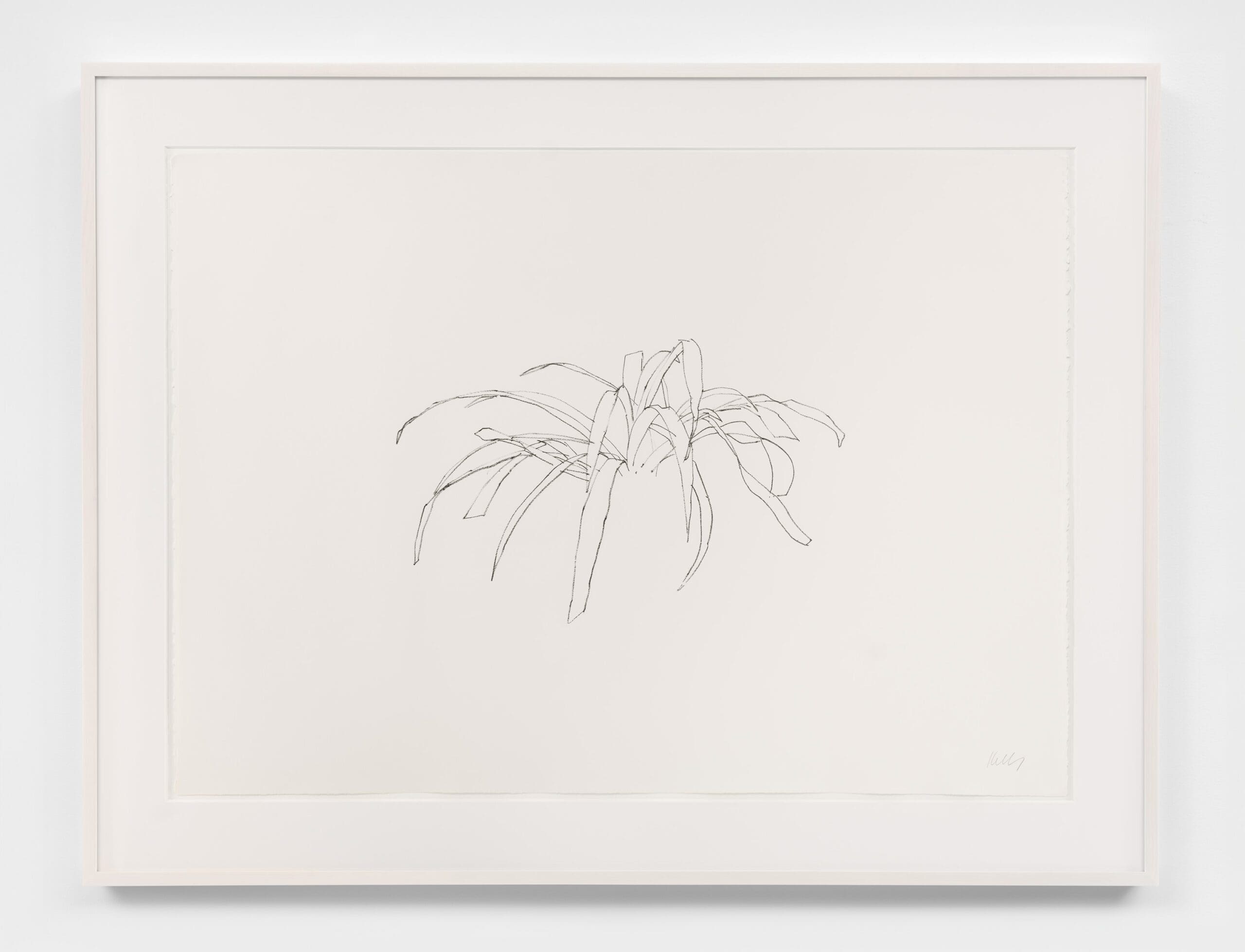 Ellsworth Kelly - Leaves