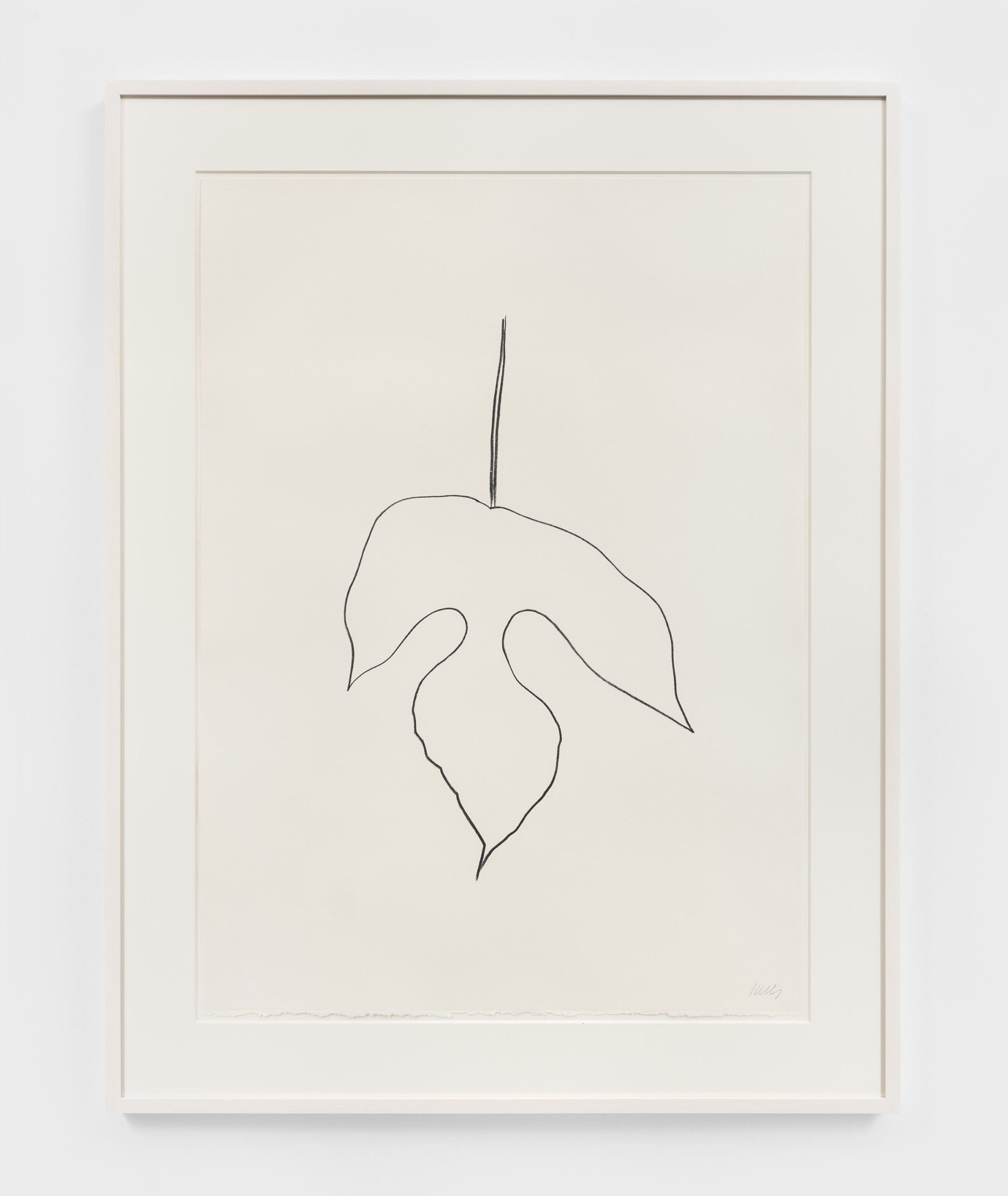 A picture of Mulberry Leaf by Ellsworth Kelly