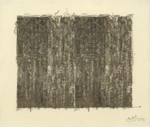 Two Flags by Jasper Johns