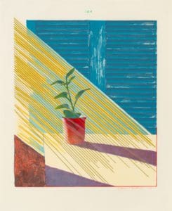 Sun by David Hockney
