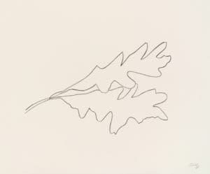 Oak V by Ellsworth Kelly