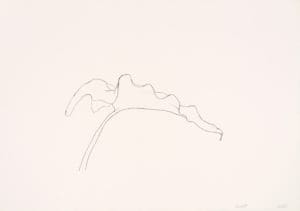Leaf VI by Ellsworth Kelly