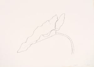 Leaf X by Ellsworth Kelly