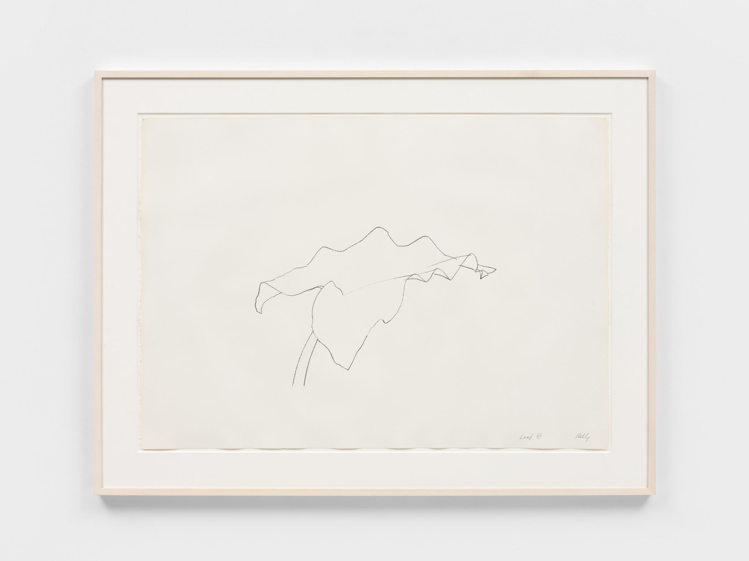 Ellsworth Kelly - Leaf VII