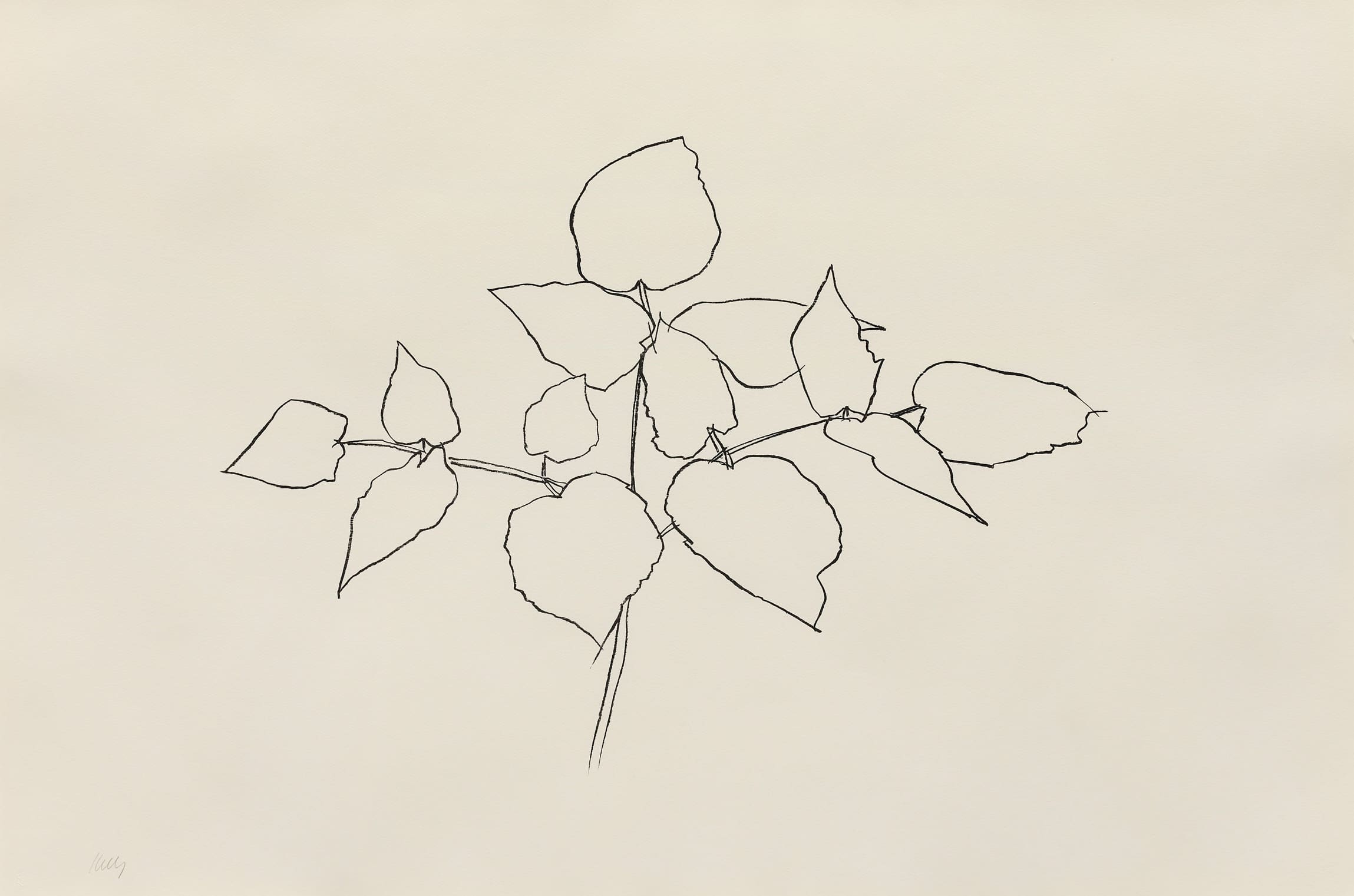 Ellsworth Kelly - Woodland Plant
